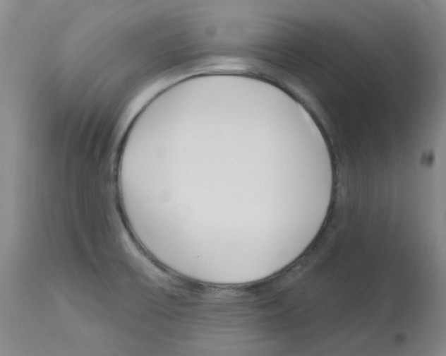 X0000112941475200910051143