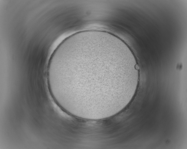 X0000112941478200910051143