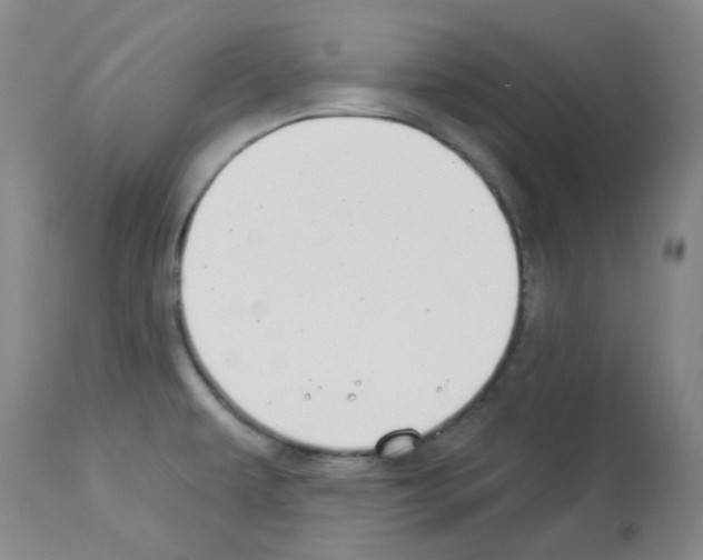 X0000112941479200910051143