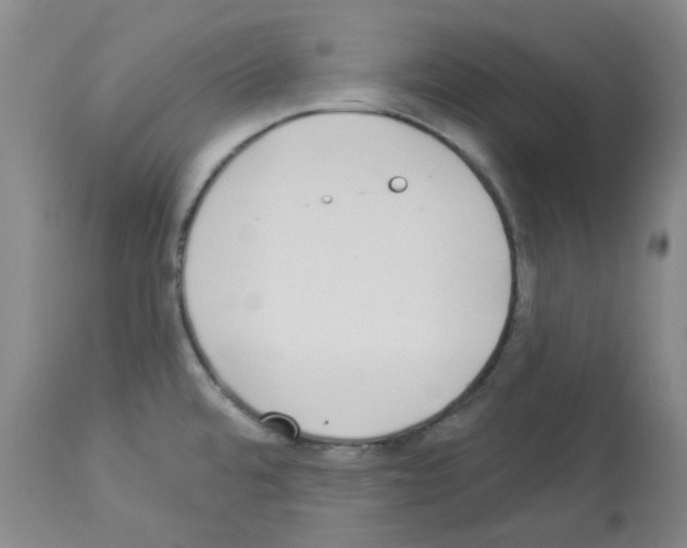 X0000112941480200910051143