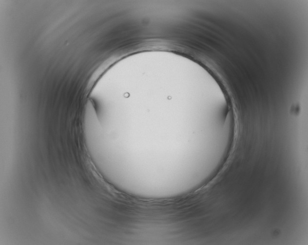 X0000112941481200910051143