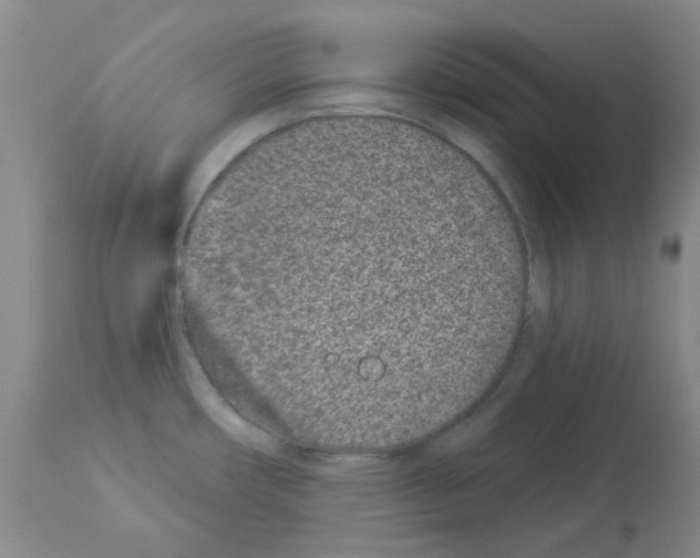 X0000112941482200910051143