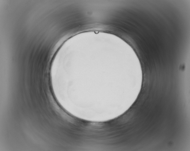 X0000112941483200910051143