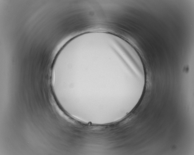 X0000112941484200910051143