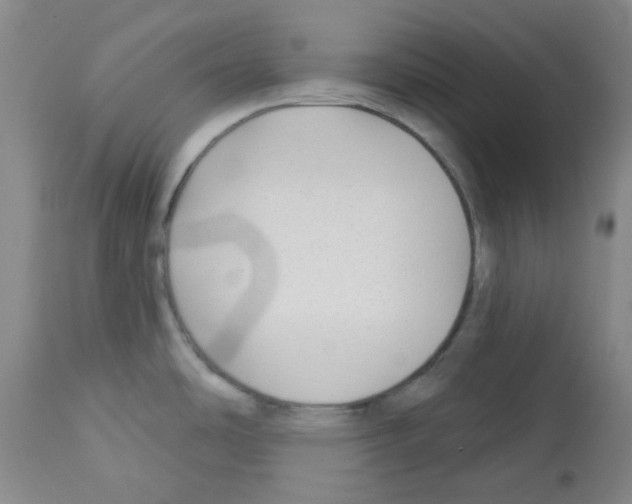 X0000112941486200910051143