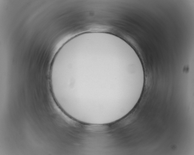 X0000112941487200910051143