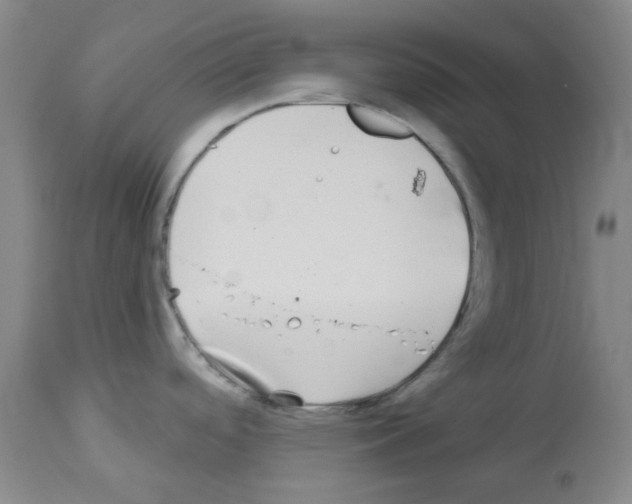 X0000112941488200910051143