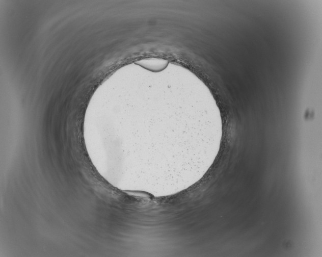 X0000112941489200910051142