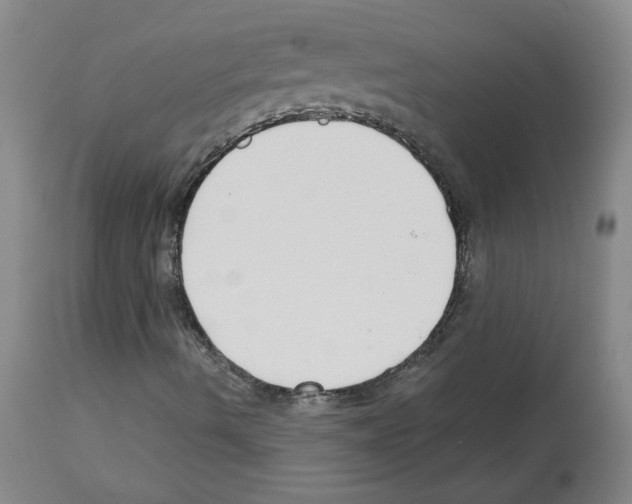 X0000112941490200910051142
