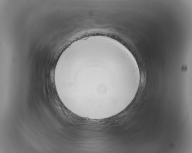 X0000112941492200910051142