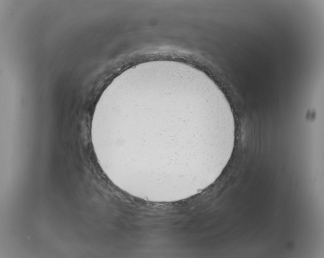 X0000112941493200910051142