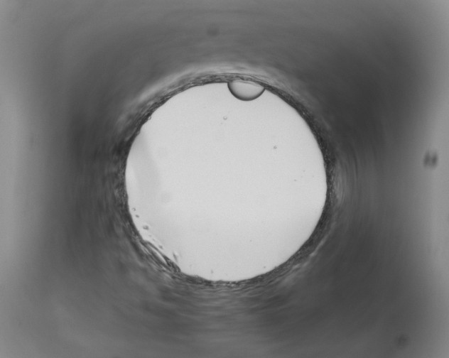 X0000112941494200910051142