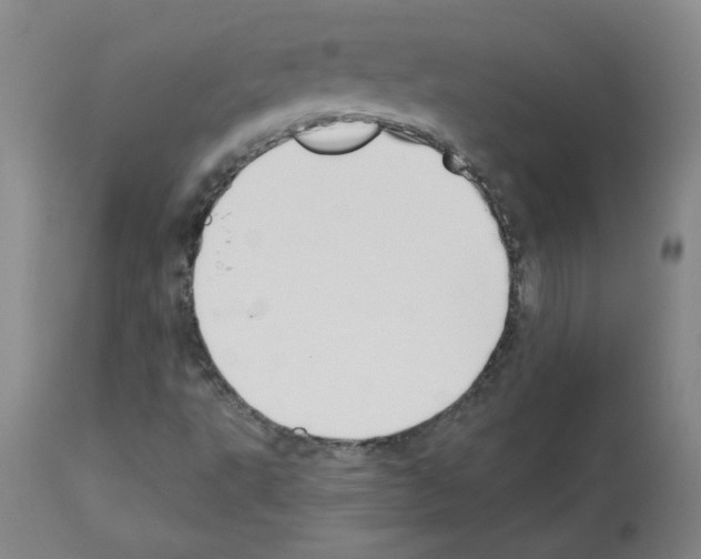 X0000112941495200910051142