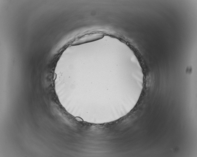 X0000112941496200910051142