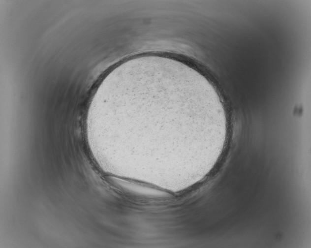 X0000112941497200910051142