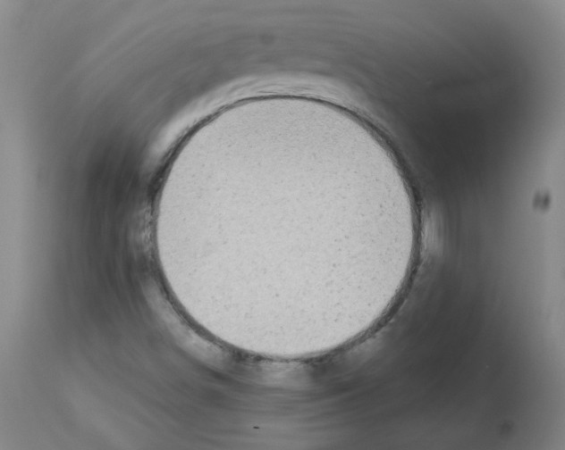 X0000112941498200910051142