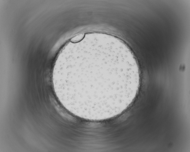 X0000112941499200910051142