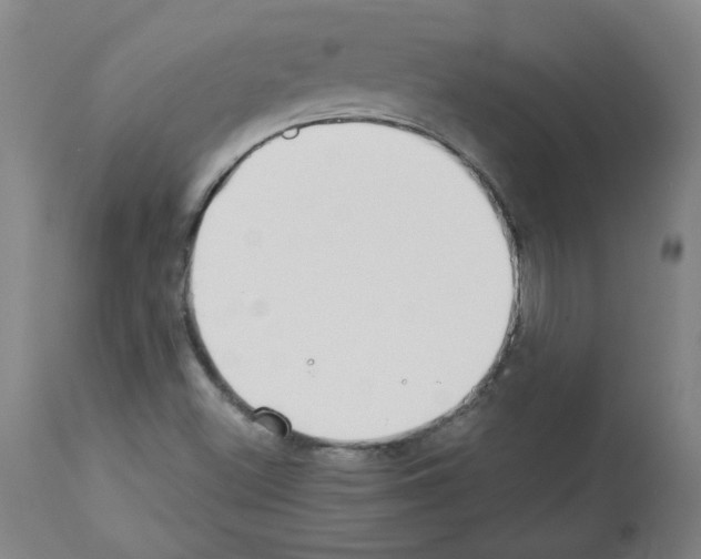 X0000112941500200910051143