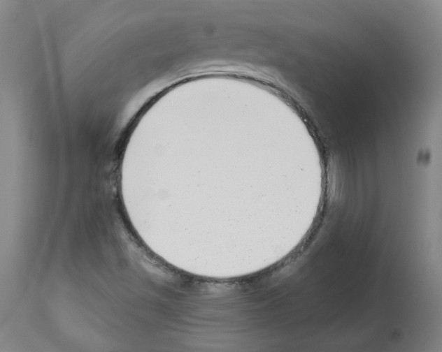 X0000112941501200910051143