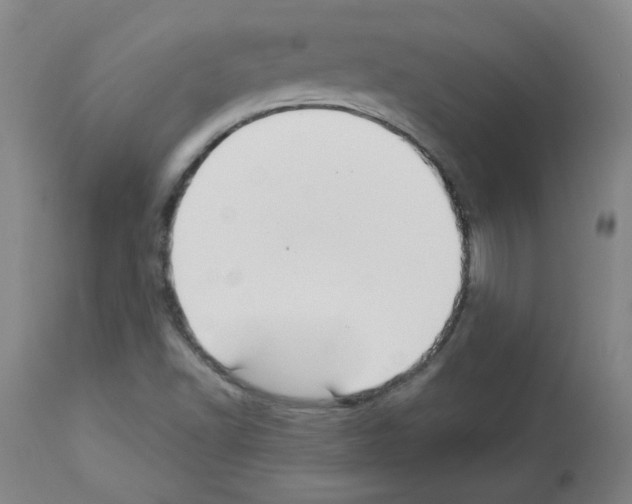 X0000112941502200910051143