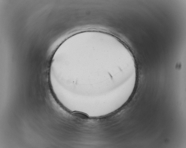 X0000112941504200910051143
