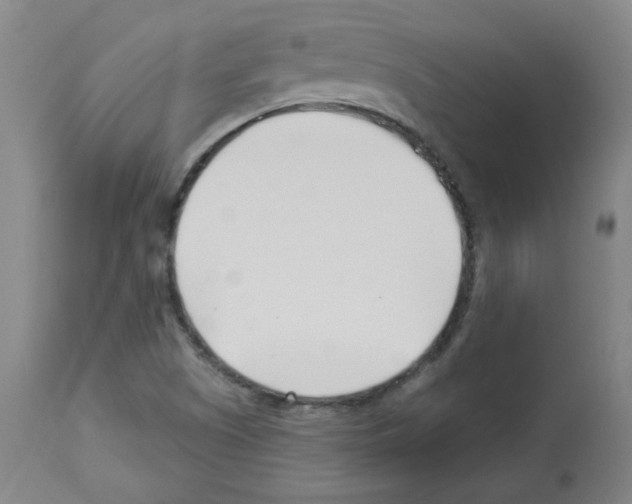 X0000112941505200910051143