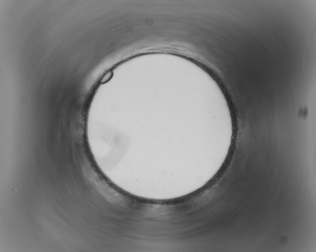 X0000112941506200910051143