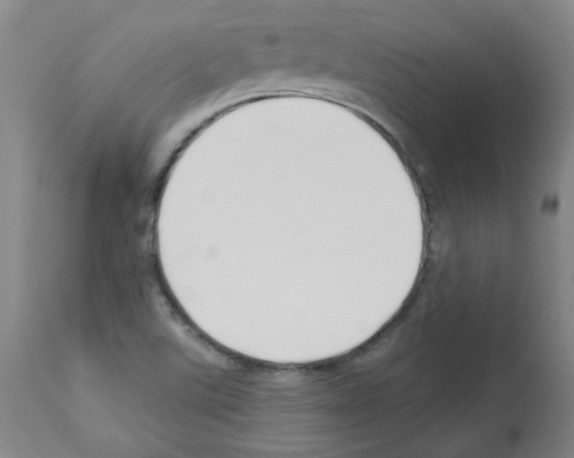 X0000112941507200910051143