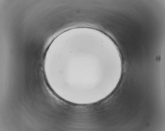 X0000112941508200910051143