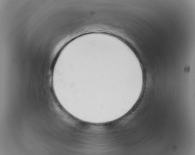 X0000112941509200910051143