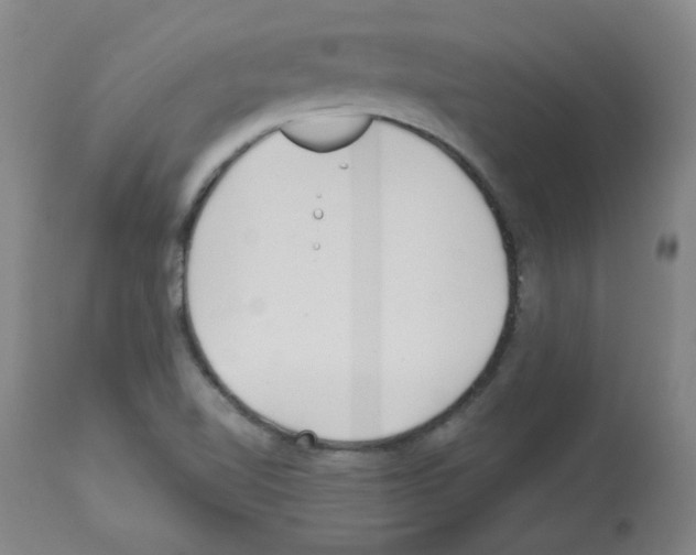 X0000112941510200910051143