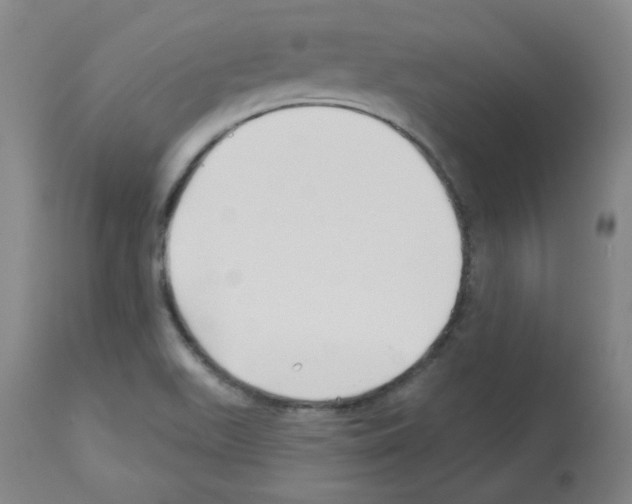 X0000112941511200910051143