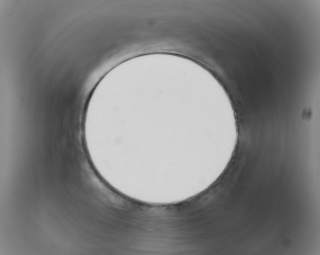 X0000112941512200910051143