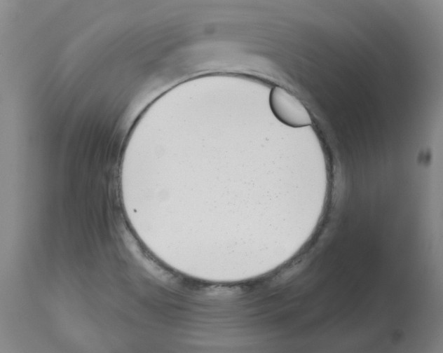 X0000112941513200910051143