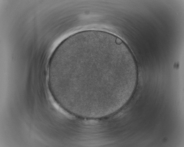 X0000112941515200910051143
