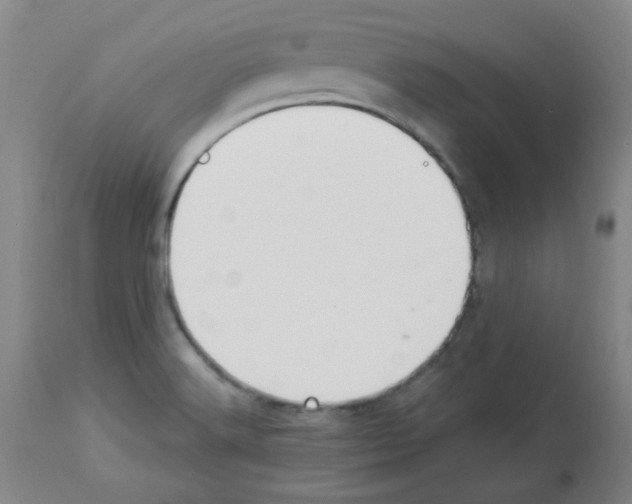 X0000112941516200910051143