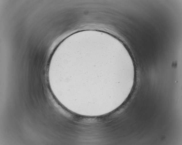 X0000112941517200910051143