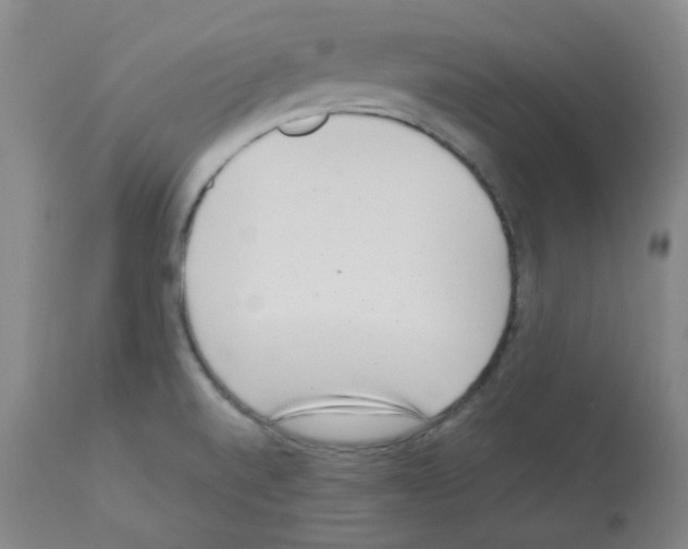 X0000112941520200910051143