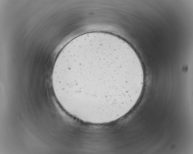 X0000112941521200910051143