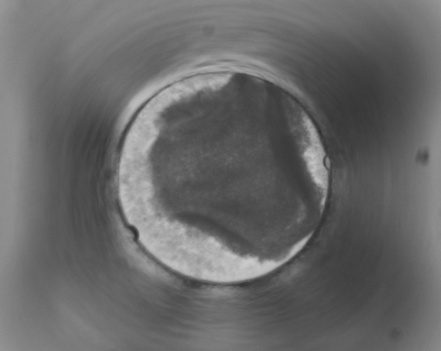 X0000112941522200910051143
