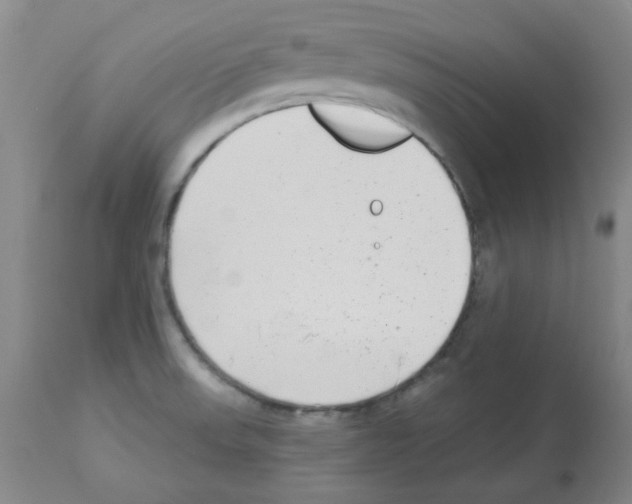 X0000112941523200910051143