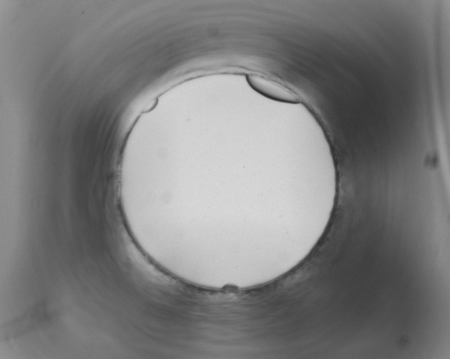 X0000112941524200910051143