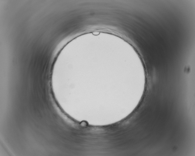 X0000112941525200910051143