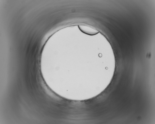X0000112941526200910051143
