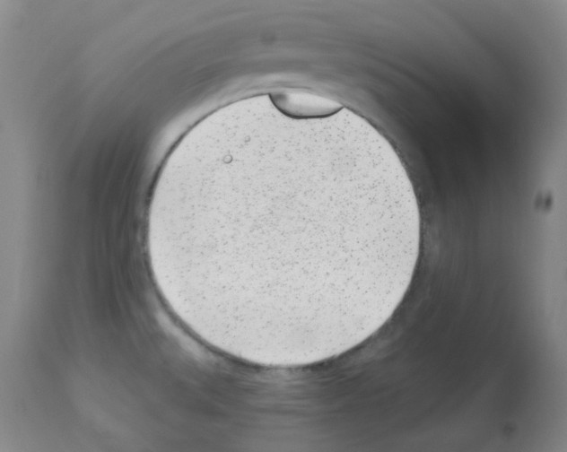 X0000112941527200910051143