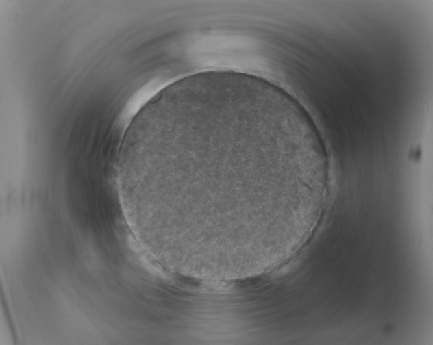 X0000112941529200910051143
