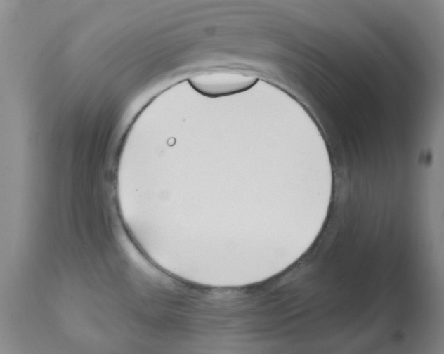 X0000112941531200910051143