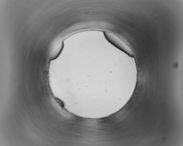 X0000112941532200910051143