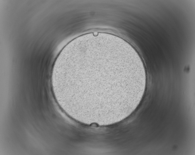 X0000112941533200910051143