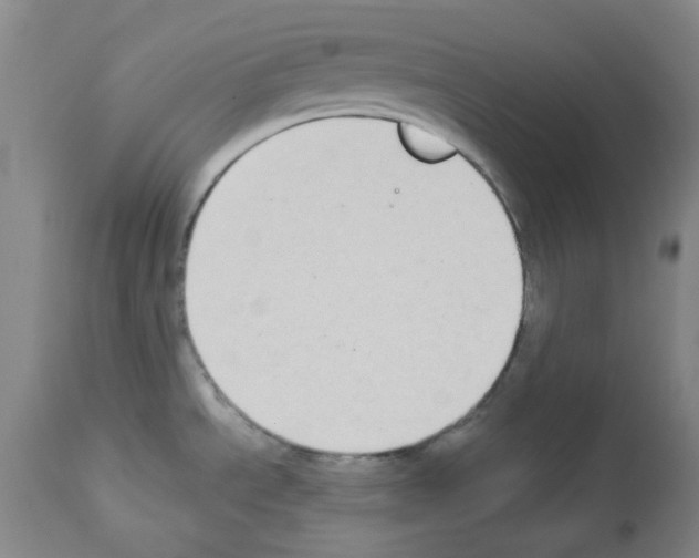 X0000112941534200910051143